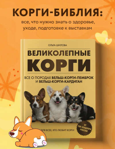 Книжка