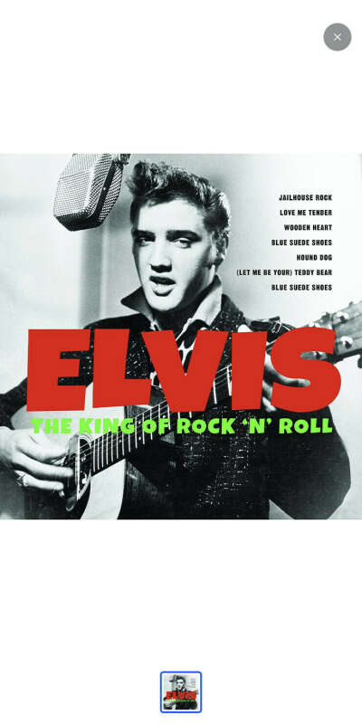 Elvis The King of Rock n Roll