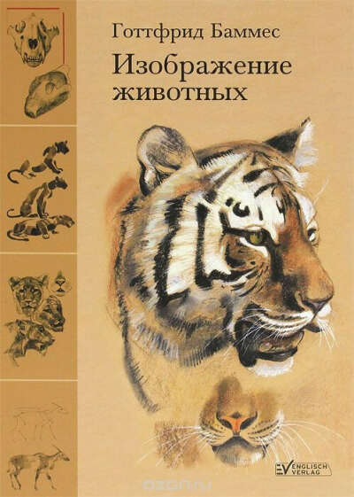 Изображение животных
