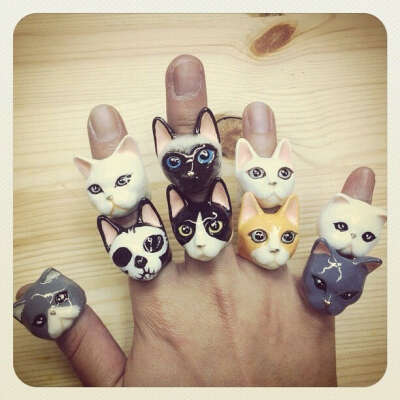 Колечко кошка