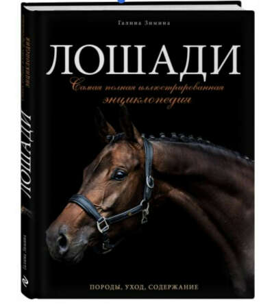 Г. Зимина – «Лошади»