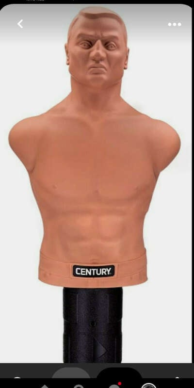 Human shaped punch bag 👊