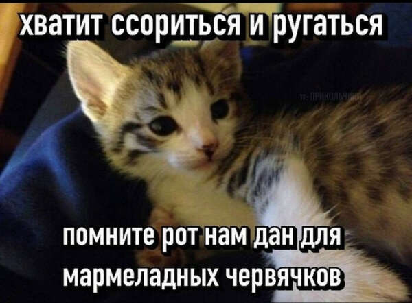 мармеладки и лакрица (в любом количестве)
