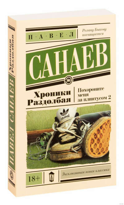 Хроники Раздолбая