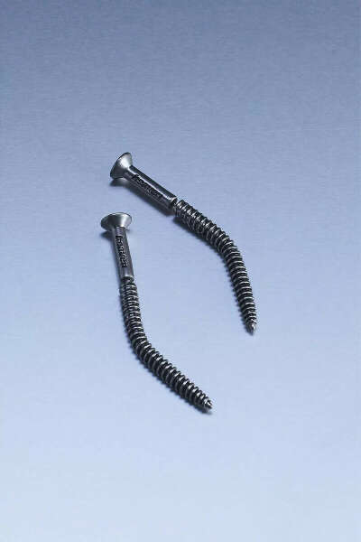 Screw Earrings