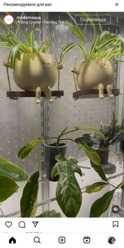 Забавные цветочные горшки