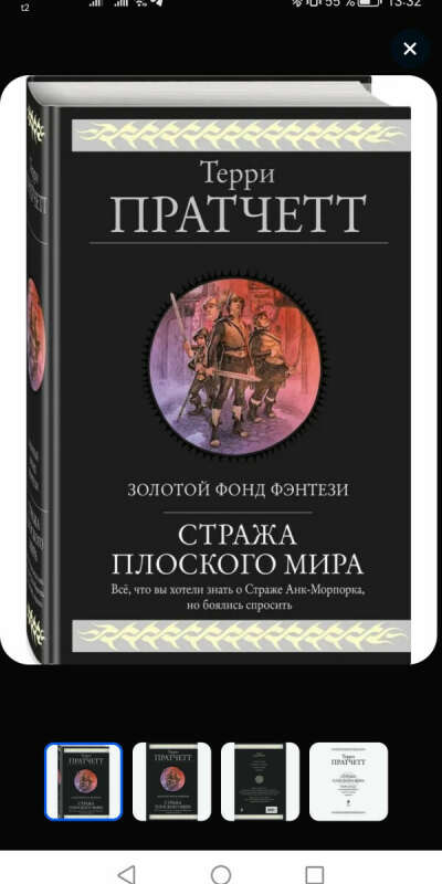 Книга Терри Пратчетта Стража плоского мира