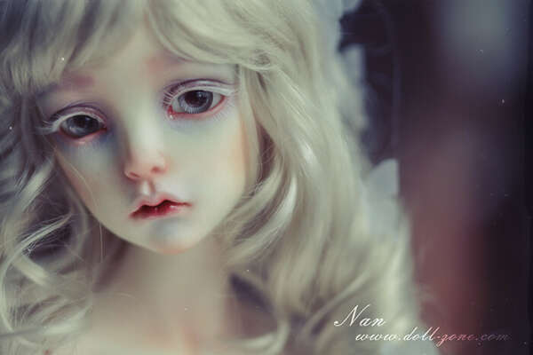 dollzone Nan
