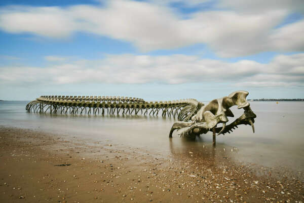 Le Serpent d’Ocean