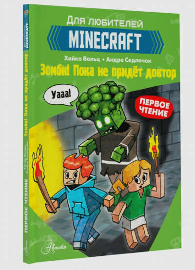 Minecraft. Первое чтение