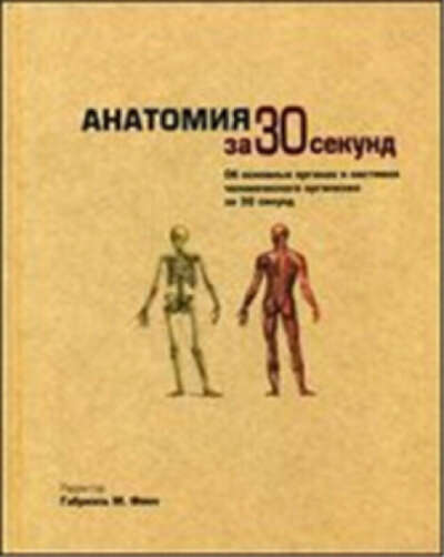 Анатомия за 30 секунд