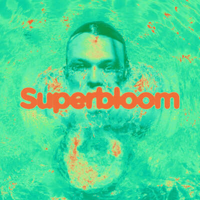 Ashton Irwin - Superbloom LP (Vinyl record)