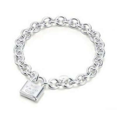 Браслет Tiffany & Co "1837" Lock charm (0125)