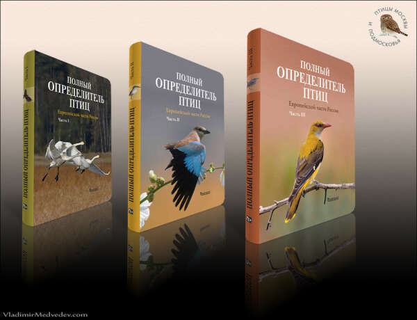 Книги о птицах