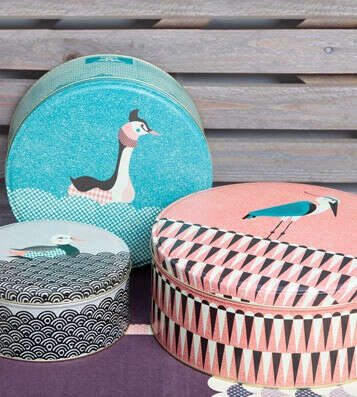 Набор банок Pond Life - Large Round