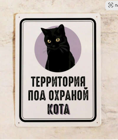 Табличка "Территория под охраной черного кота"