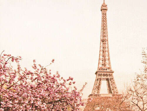 Go to Paris