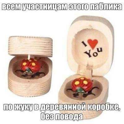 Жук в деревянной коробочке