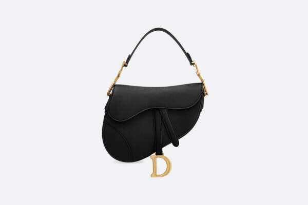 Christian Dior Saddle