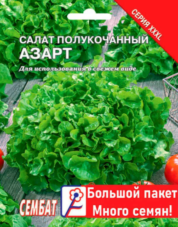 Семена Салат