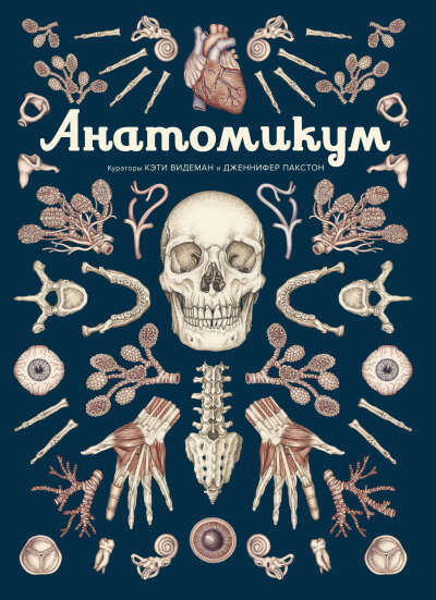 анатомикум