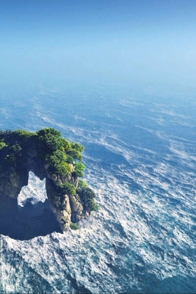 to see wild dolphins in the ocean