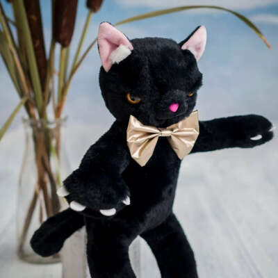 Маленькая злая кошечка