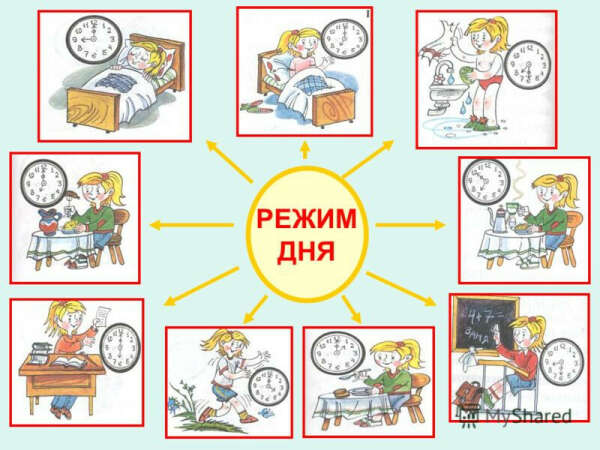 Наладить режим дня