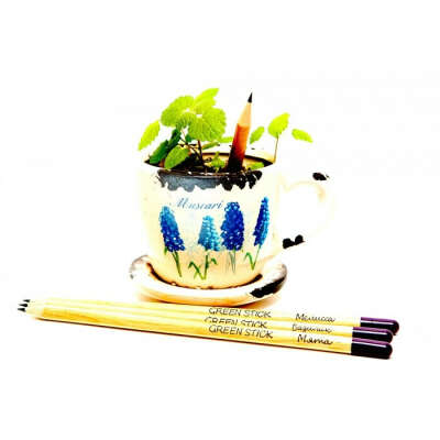 Green Stick "Прянные травы" (чернографитные)