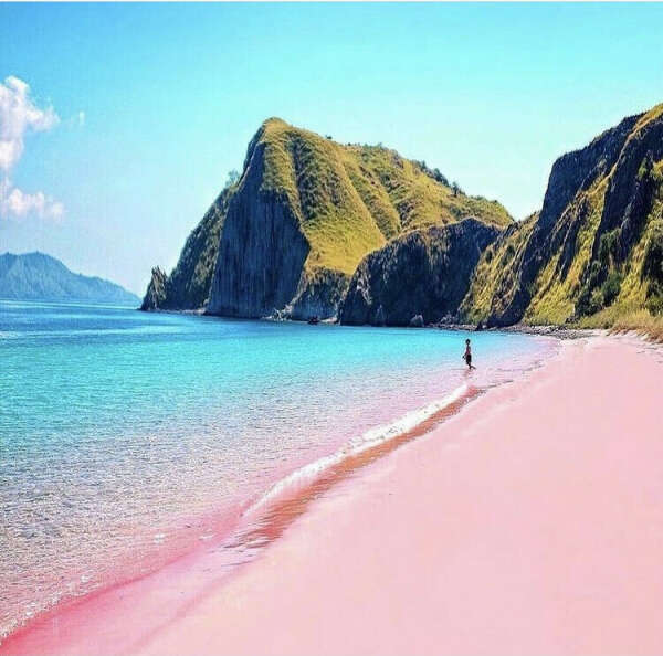 Komodo Island , Indonesia