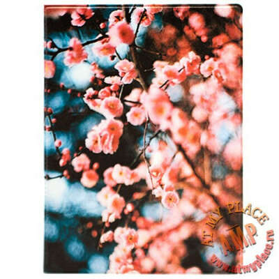 Обложка для паспорта Sakura flowers