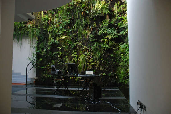 Green Wall