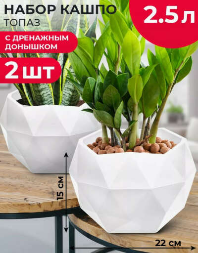Кашпо для кактусов 3 шт 2,5 л