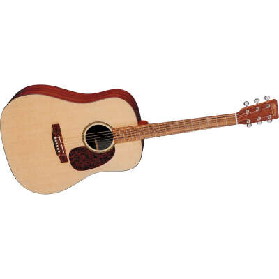 MARTIN DXM
