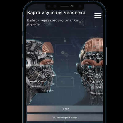 Курс Нейротипологии