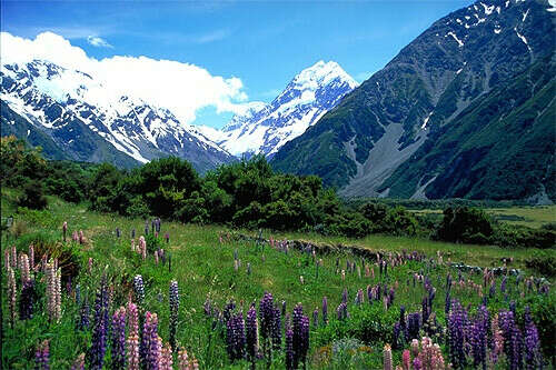 New Zealand