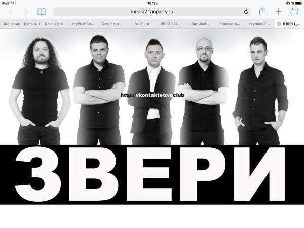 Билет на концерт группы Звери