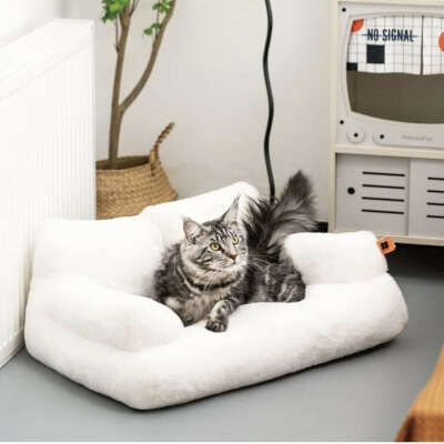 MEWOOFUN Large Cat Bed for Cats