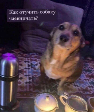 На Варин вкус. Ей можно!