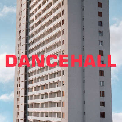 Пластинка The Blaze  Dancehall