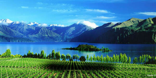 New Zealand