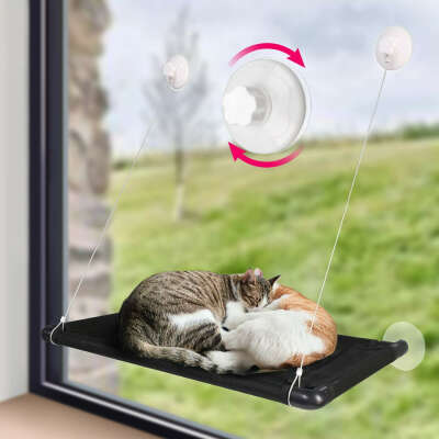 Cat Bed Window
