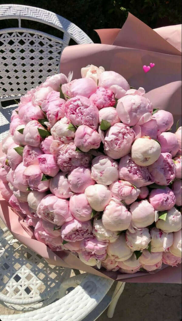 Цветы💓💓💓