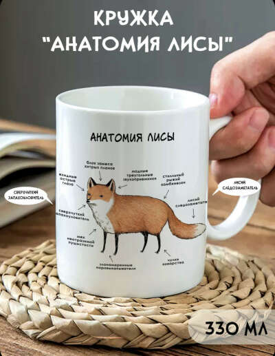 Кружка анатомия лисы