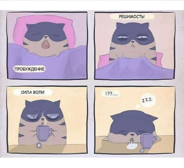 Всегда высыпаться