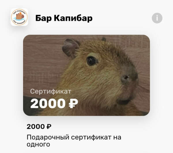 Подарочный сертификат в антикафе "Бар капибар" (ссылка в описании)
