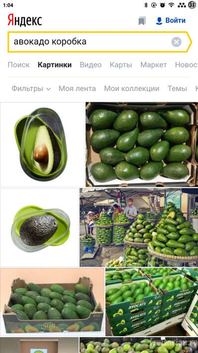 Коробка авокадо