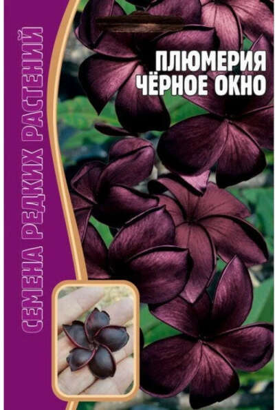 Семена Плюмерии "Черное окно"