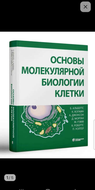 Основы молекулярной биологии клетки