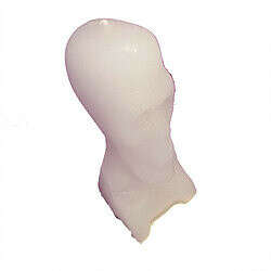Craneo Blanco | Csbotanica